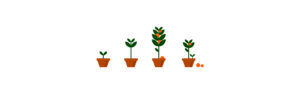 Illustrations of plants